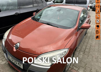 Renault Megane Rej 09,Polski salon,uszkodzona uszczelka pod głowicą, drugi…