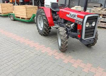 Massey Ferguson 247; sadowniczy; wspomaganie; 255;235;3502.