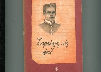 Zapalają się dni - Teodor Goździkiewicz