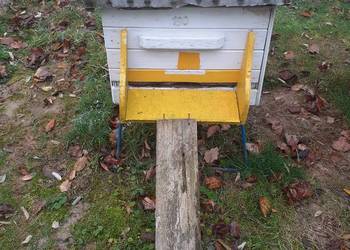 Sprzedam pszczoly z ulami lub bez uli w 2026r.