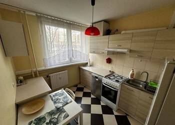2pok, 42met, Okolice Bobrzej BALKON/PIWNICA/WINDA (Wrocław)