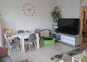Sprzedam lub wynajmę mieszkanie 53m2