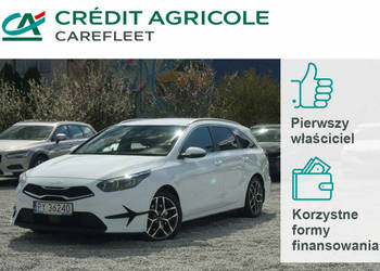 Kia Cee'd 1.5 T-GDI 160 KM Business Line Salon Polska Faktura Vat 23% PY36…