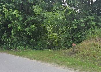 Działka zalesiona 1,4ha z dostępem do rzeki