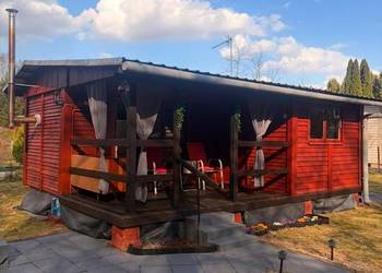 Działka ROD w Przypkach przy lesie – po remoncie, gotowa do użytku