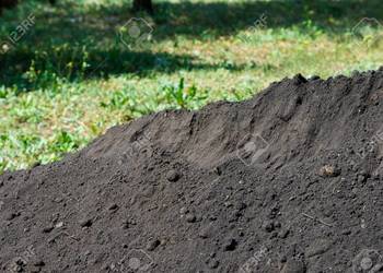 Przyjmę Ziemię, Humus,  Skierniewice