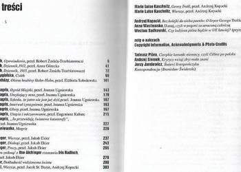 LITERATURA NA ŚWIECIE - 2001 NR 02-03 (355-356)