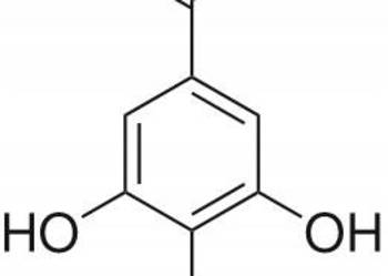 Kwas Galusowy (3,4,5-trihydroks) Gallic Acid 100g