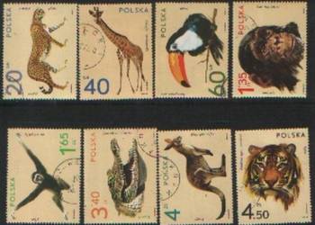 Zn. Fi 2015 - 22 kas  1972