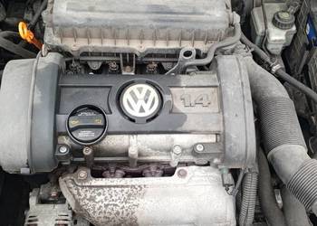 Silnik VW Golf V_1.4_80 KM_