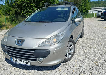 Peugeot 307 Krajowy, benzyna 1.6, klimatyzacja II (2005-)
