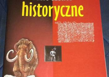 Małe tablice historyczne - Witold Mizerski