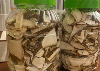 Białoporek brzozowy (Fomitopsis betulina)