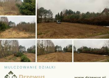 Mulczowanie nieużytków, wycinka drzew i krzewów, czyszczenie działek