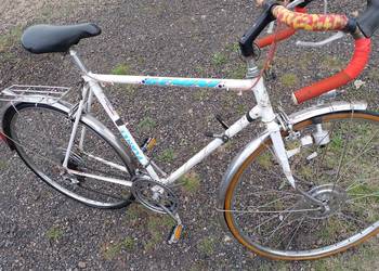 Rower Gemini Planet 28 cali koła