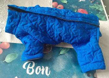 Kurtka zimowa dla psa