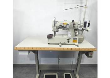 RENDERKA JACK JK-8569-364