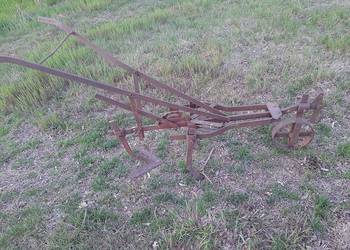 Pielnik-obsypnik konny