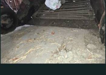 Przystawka do kopania cebuli