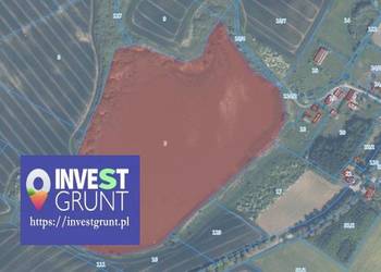 [9,08 ha] przetarg na dzierżawę jeziora