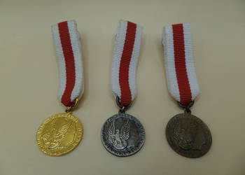 Zestaw Miniaturek Za Zasługi Dla Obronności Kraju