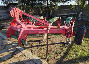 Głebosz unia kret Głebosz unia kret