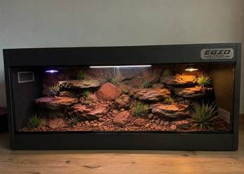 Terrarium specjalistyczne dla gekona lamparciego żółwia greckiego