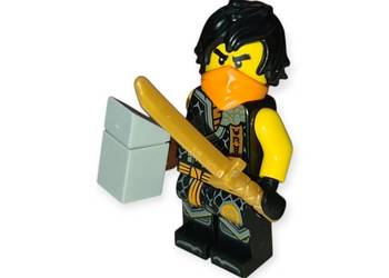 Lego Ninjago Cole NJO894