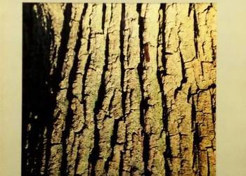 NKWD o polskim podziemiu 1944-1948