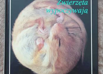 Zwierzęta wypoczywają Jane Burton