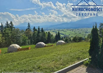 Oferta sprzedaży działki 5460m2 Suche