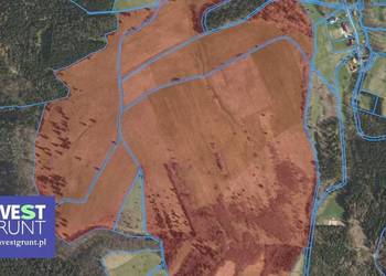 [77,61 ha] przetarg na dzierżawę gruntów rolnych