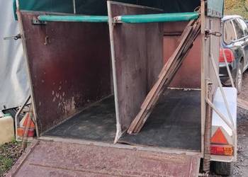 Przyczepa do przewozu koni niemiecka