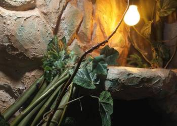 Terrarium, paludarium na każdą kieszeń, zapraszam.