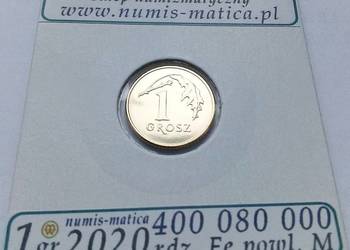POLSKA-1 GROSZ-2020 r