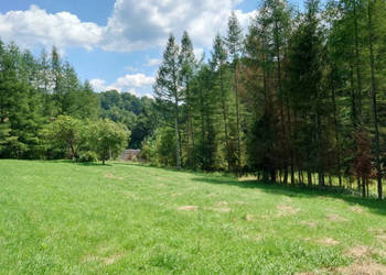 Działka BUDOWLANA 30 ary Bieszczady, Bóbrka, k. SOLINA