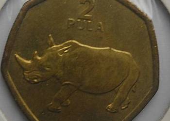 BOTSWANA-2 PULA-2004 r (NOSOROŻEC)
