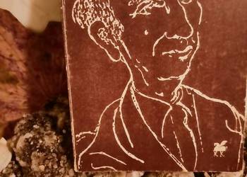 Les Superviele Poezje wybrane książki Warszawa księgarnia Pr