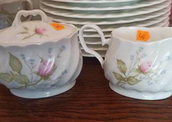 Mlecznik i cukiernica, Rosa Florantes Yamaka. Japan Mlecznik i cukiernica, Rosa Florantes Yamaka. Japan