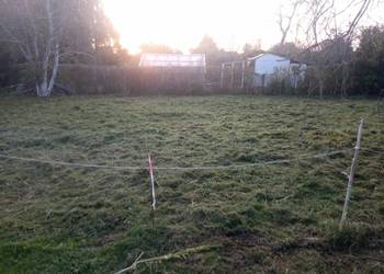 Działka ROD "Słonecznik"- woda, prąd i zielona trawka, pilnie sprzedam