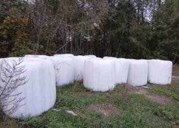 Sprzedam bele sianokieszonki