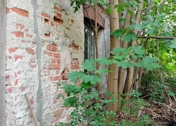 Syndyk sprzeda udział 1/6 w działkach – Jędrzejów Nowy