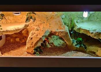 Terrarium od Egzo Systems dla agamy brodatej gekona lamparciego