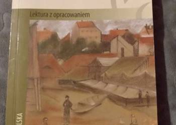 Ludzie Bezdomni (z opracowaniem), Stefan Żeromski