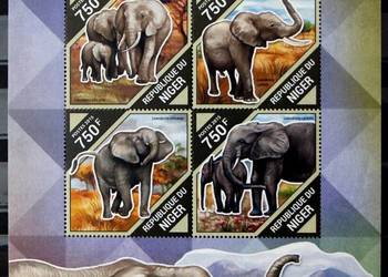 Niger ( słonie) 2