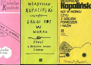 Kot w worku Drugi kot w worku Trzeci kot w worku czyli...