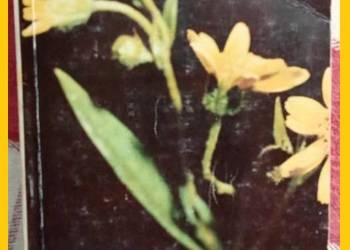 Zioła - Mikołajczyk, Wierzbicki / 1983 / zioła / rosliny / ziołolecznictwo Zioła - Mikołajczyk, Wierzbicki / 1983 / zioła / rosliny / ziołolecznictwo