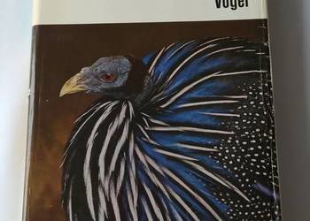 KRÓLESTWO ZWIERZĄT ptaki
