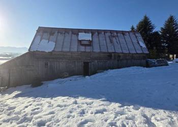 Wynajmę duży plac zielony wraz z zabudowaniami gospodarczymi.