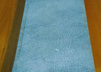 Morza i oceany : ekologia i biogeografia / Kazimierz Demel